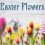 Time For Ordering Easter Flowers!